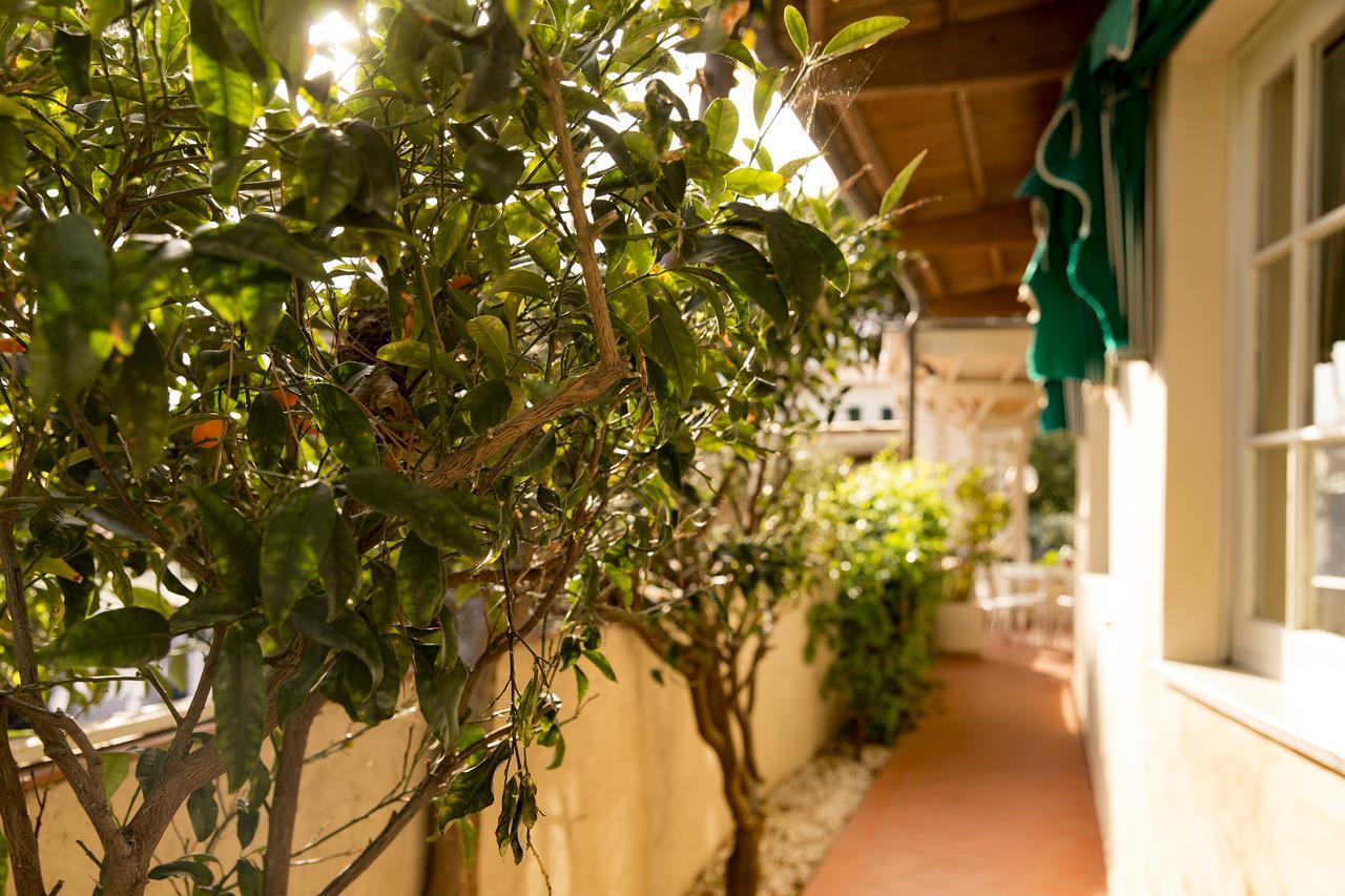 Hotel Corallo Pomonte Bagian luar foto